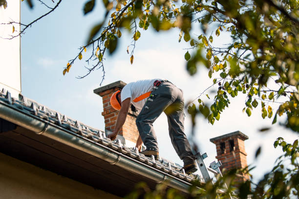 Best Metal Roofing Contractor  in Ennis, TX